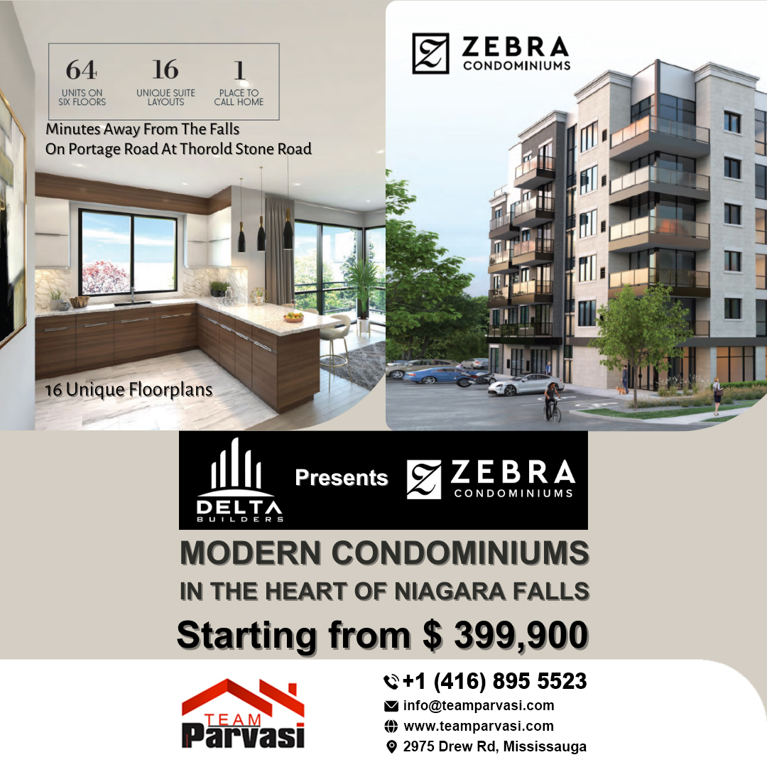 Team Parvasi Zebra Box AD