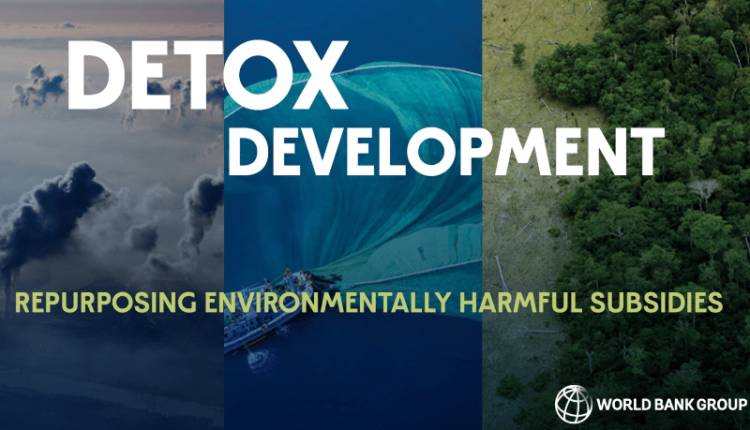 World Bank report titled Detox Development Repurposing Environmentally Harmful Subsidies